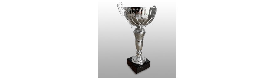 SILVER HANDLED TROPHY CUP ON SILVER RISER AVAILABLE IN 3 SIZES